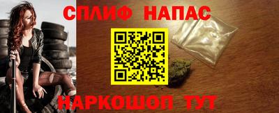 гидра Нальчик