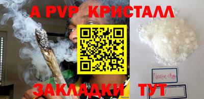 гидра Нальчик