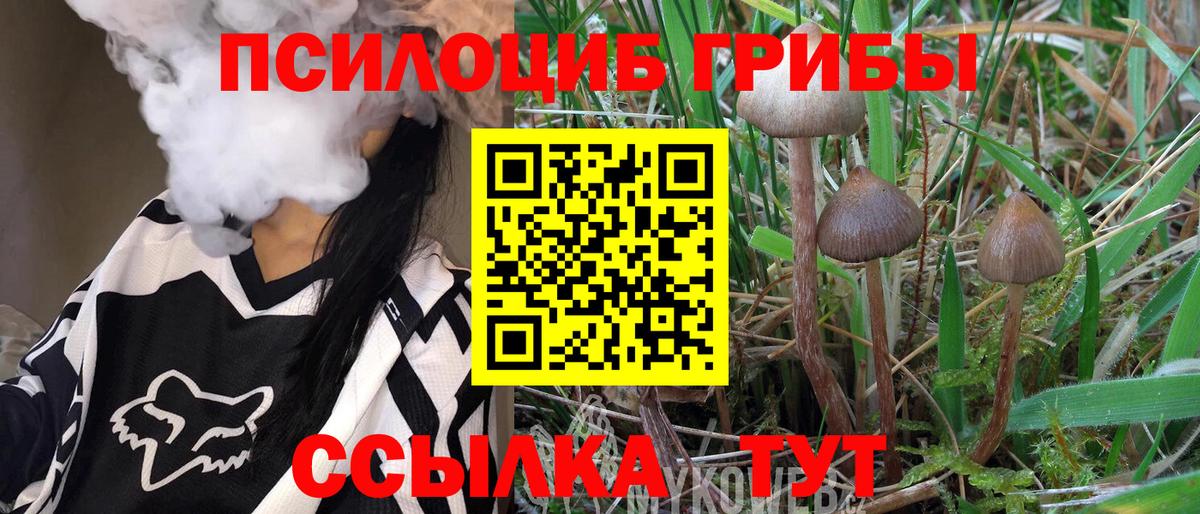 что такое   Галлюциногенные грибы Psilocybe  Псилоцибиновые грибы ЛСД  Вход с VPN  Дмитров 