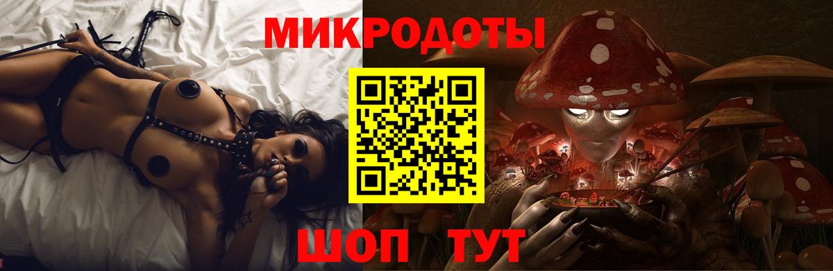 Псилоцибиновые грибы Cubensis Дмитров